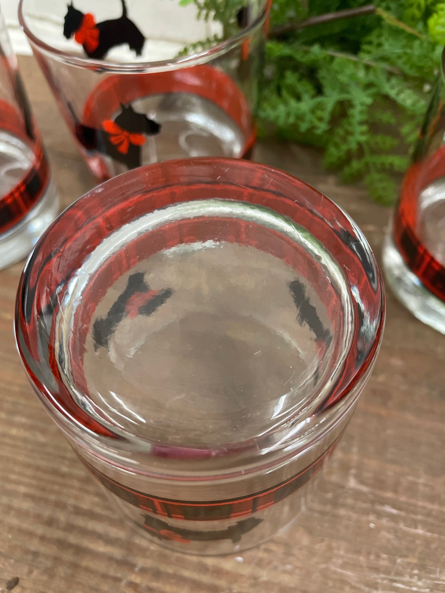 SET OF SIX FITZ SCOTTIE GLASSES