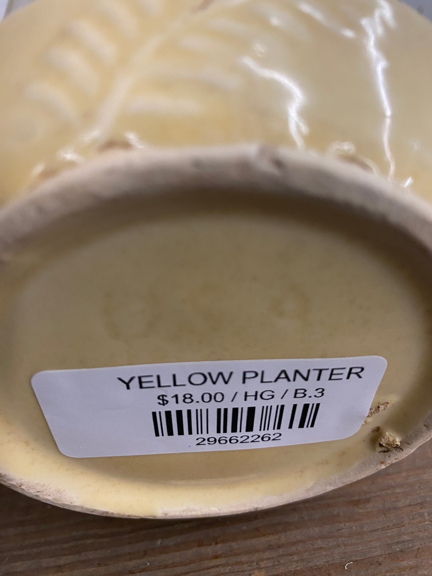 YELLOW PLANTER