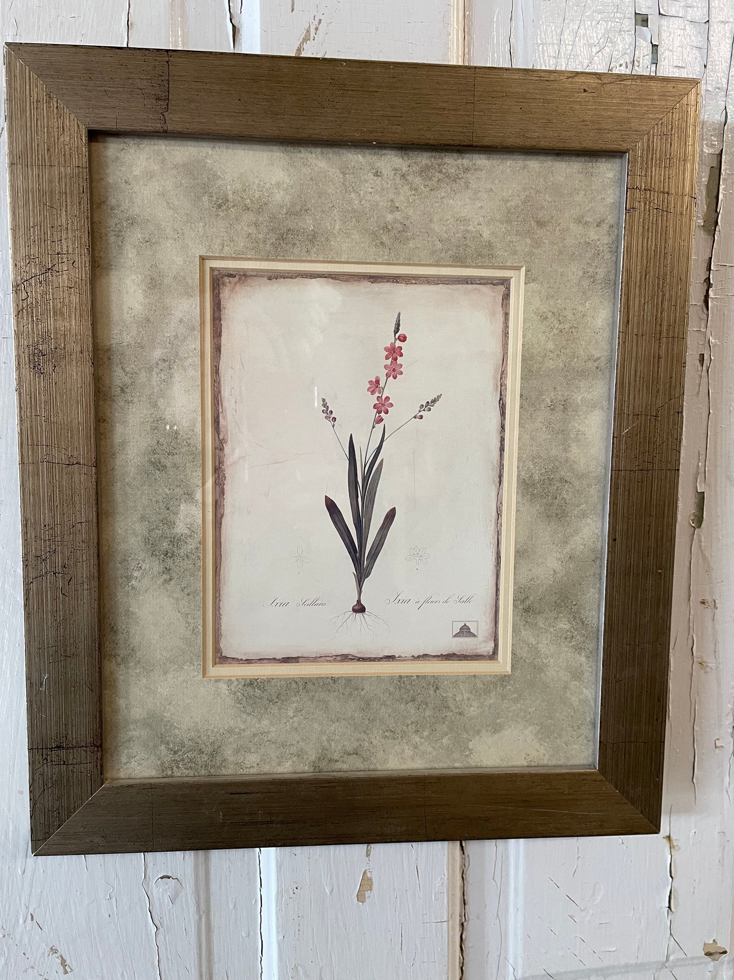 PINK FLOWERS IN TAN FRAME