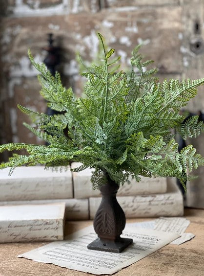 RAFFIAN FERN BUSH