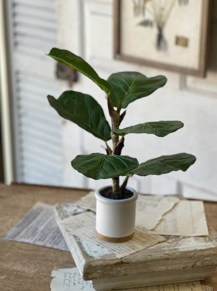 fiddle leaf fig buy online POTTED FIDDLE LEAF FIG – Hunt and Gather Vintage Wichita