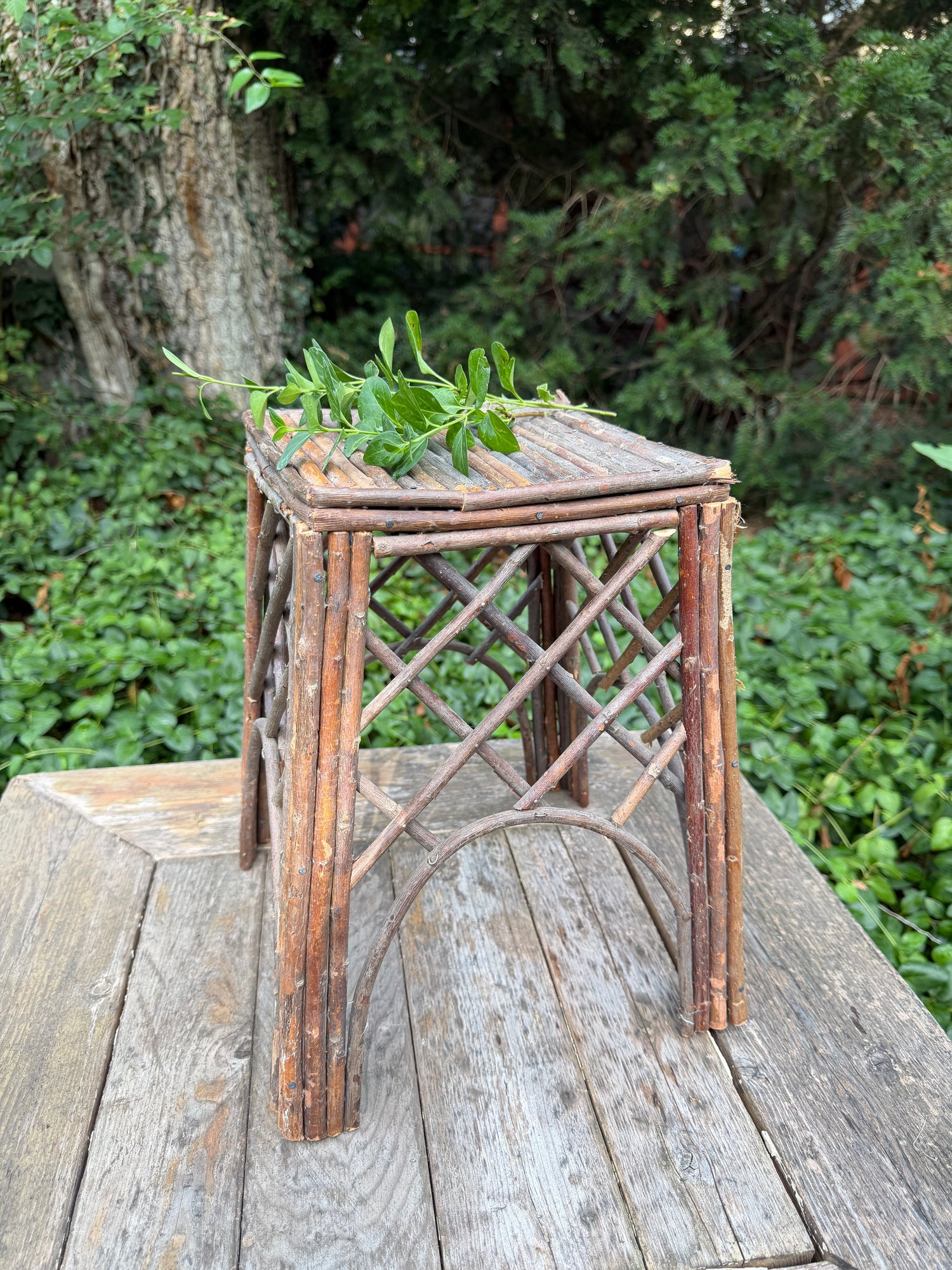 .FORAGED