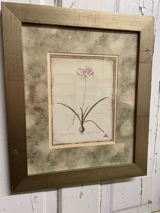 PURPLE FLOWER IN TAN FRAME