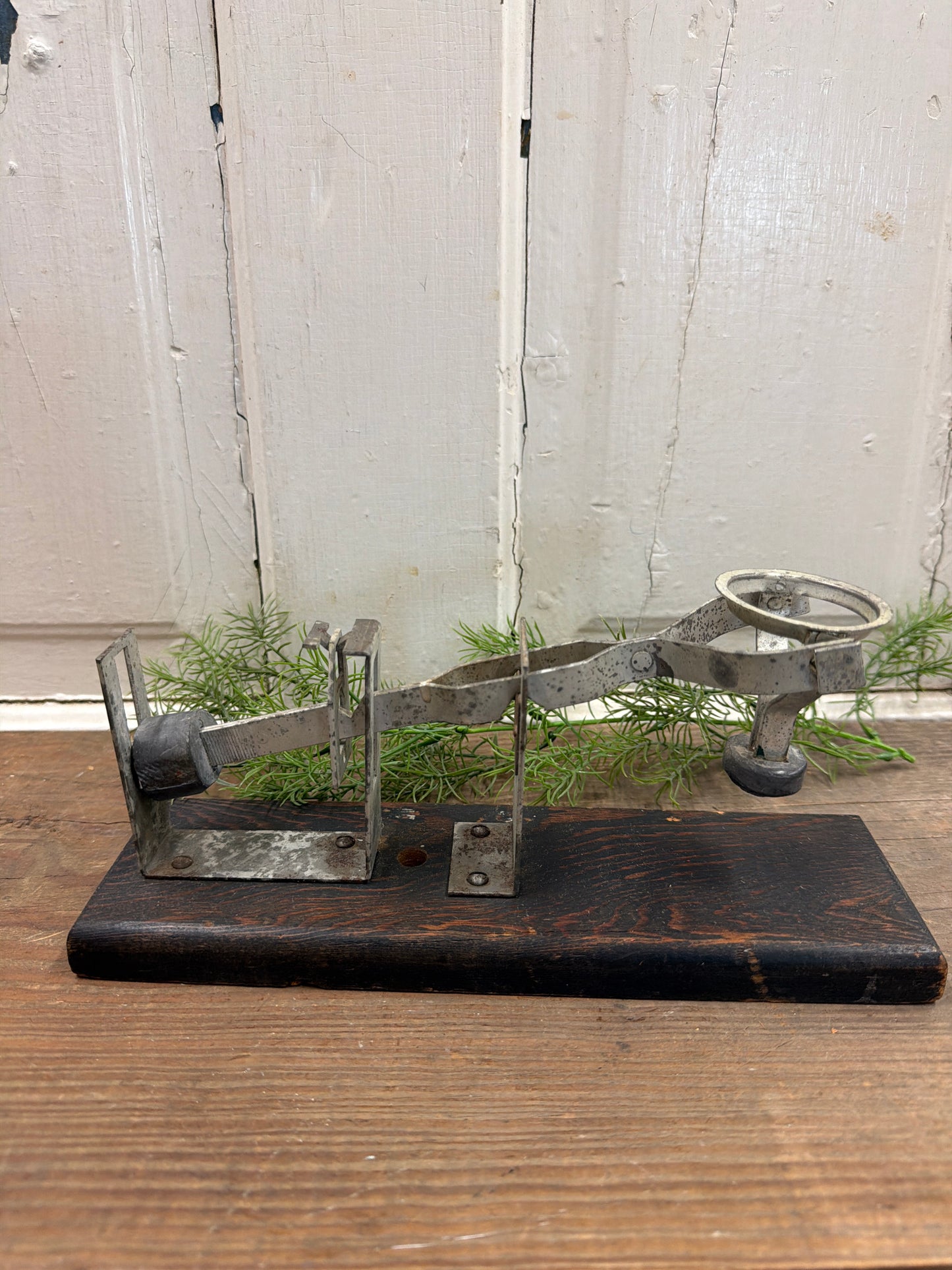 EGG SCALE