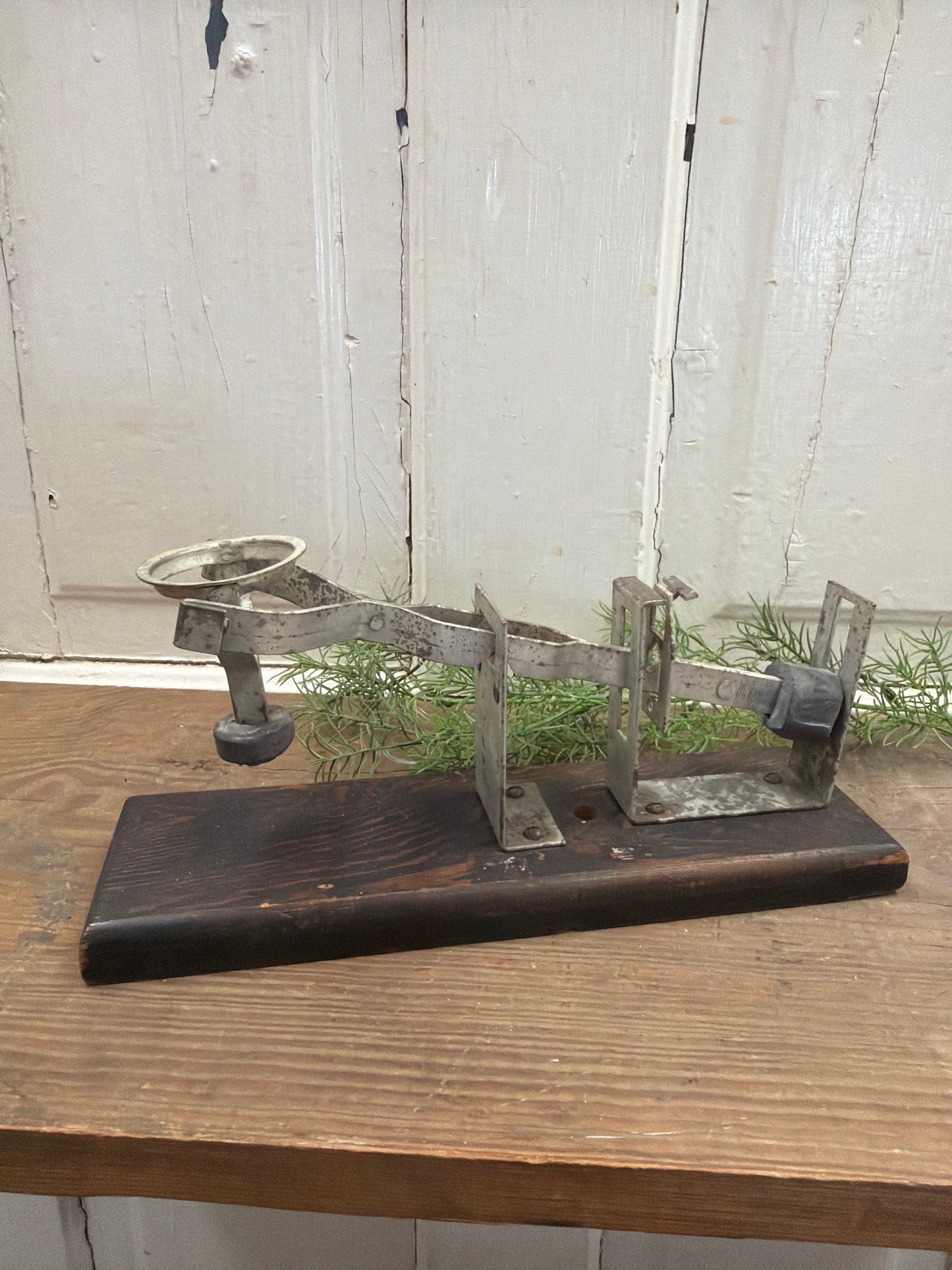 EGG SCALE