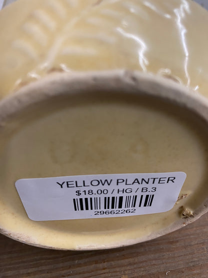 YELLOW PLANTER