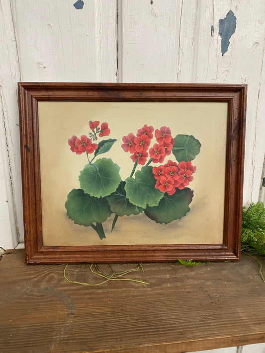 RED GERANIUM PAINTING