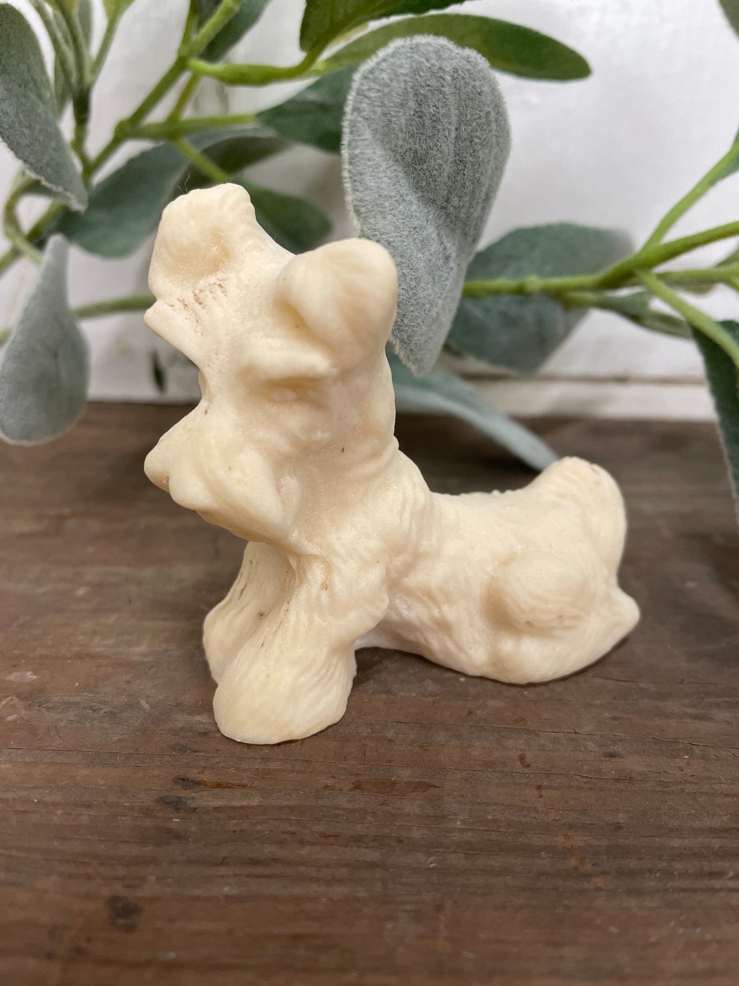 SCHNAUZER DOG