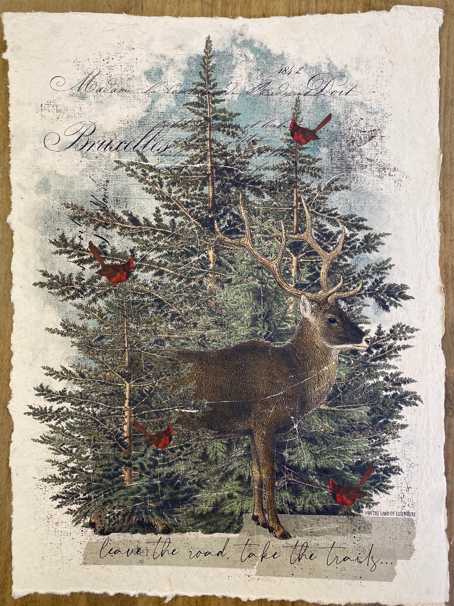 LEAVE THE ROAD, TAKE THE TRAILS…