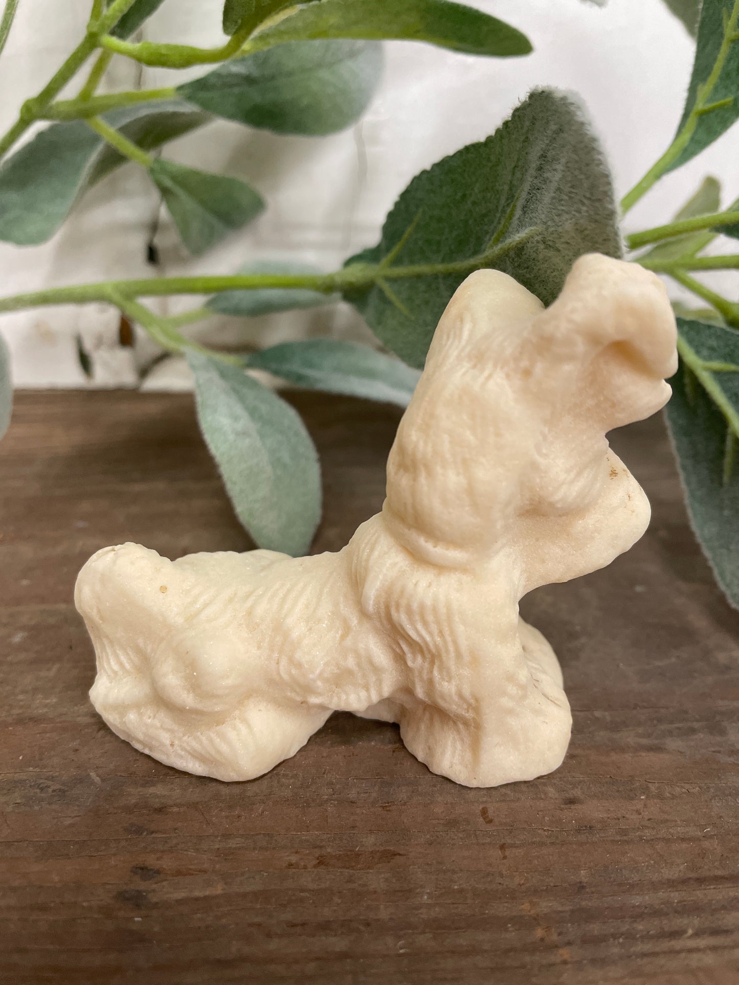 SCHNAUZER DOG
