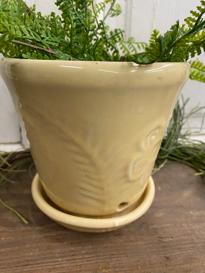 YELLOW PLANTER