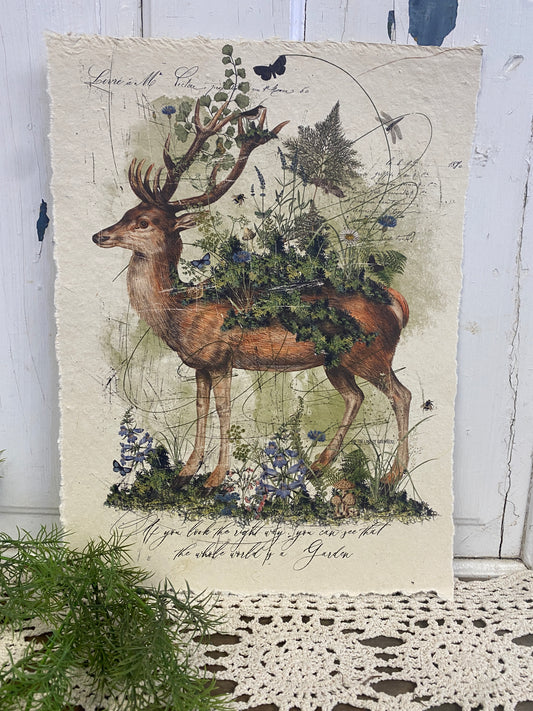 THE WHOLE WORLD IS A GARDEN