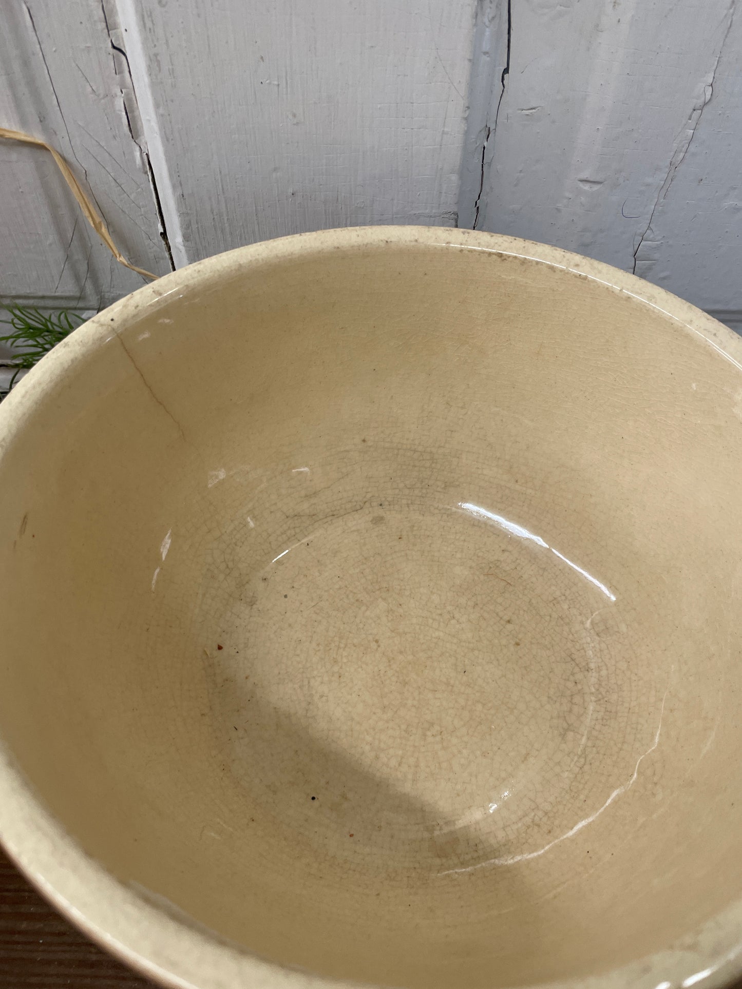 ATH-TEX BOWL