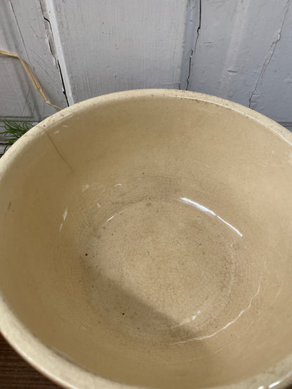 ATH-TEX BOWL
