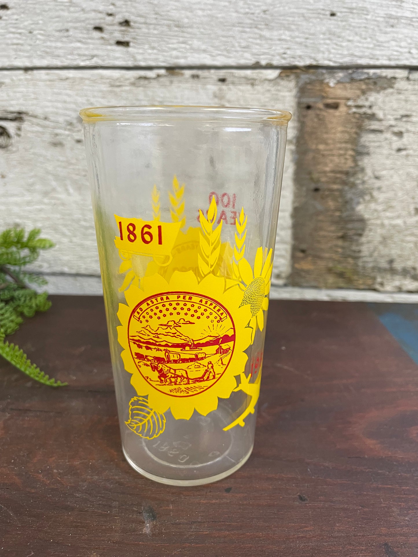 SUNFLOWER GLASS KANSAS