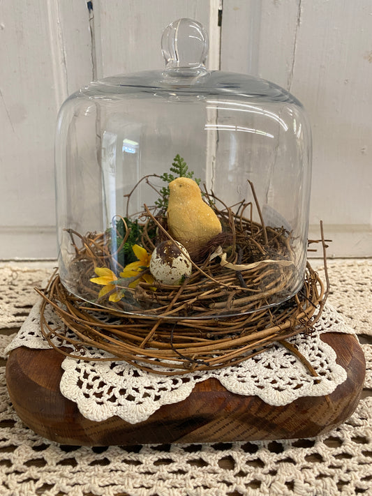 GLASS CLOCHE WITH CHICK DECOR ON WOOD BASE