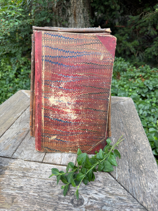 LEDGER JOURNAL