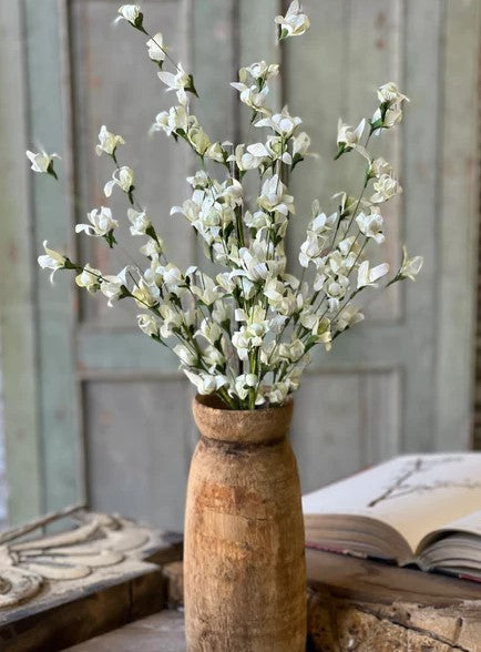 SARATOGA FLORETS BUSH