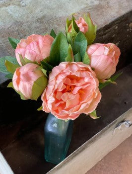 PEONY BUNDLE