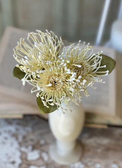 PIN CUSHION PROTEAS
