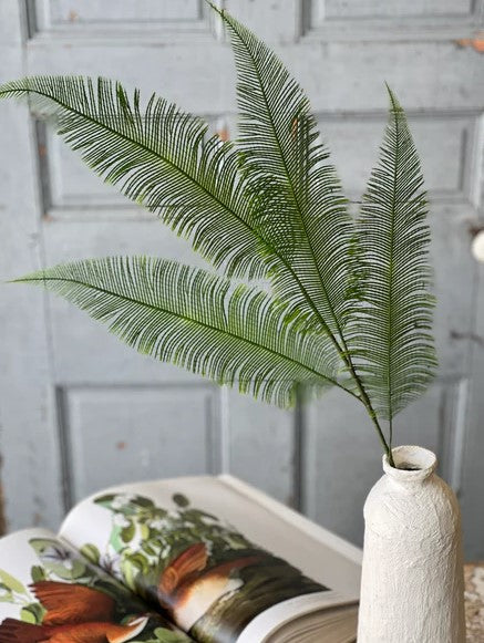 QUILL FERN SPRAY